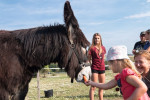 [Obrázek: Zážitková návštěva oslí farmy (22)