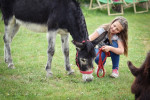 [Obrázek: Zážitková návštěva oslí farmy (3)