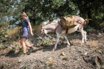 [Obrázek: Zážitková návštěva oslí farmy (33)