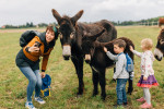 [Obrázek: Zážitková návštěva oslí farmy (7)