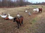 [Obrázek: Zkáza planety Země - venkovní úniková hra v přírodě Litovelského Pomoraví u Olomouce (7)