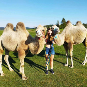 [Obrázek: Cameltreking - procházka s velbloudem a krmením v Krkonoších (1)