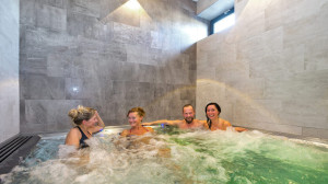 [Obrázek: Hotel ALA - hotelový wellness (1)