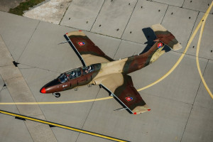 [Obrázek: Letadlo L-29 Delfín (1)