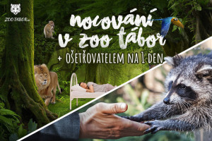 [Obrázek: Nocování v Zoo Tábor a den ošetřovatelem (1)