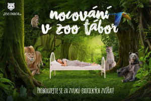 [Obrázek: Nocování v ZOO Tábor pro 2 až 4 osoby (1)