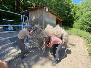[Obrázek: Ošetřovatelem exotických zvířat na zkoušku (1)