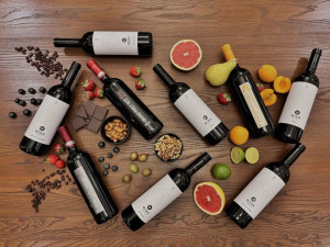 [Obrázek: Pobyt ve vinařství Bíza s degustací Čejkovice jižní Morava (1)