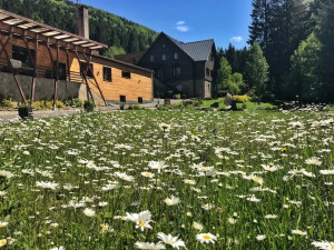 [Obrázek: Romantický pobyt v útulném resortu Hotel & Garden U Holubů s piknikem v přírodě na 2 noci (1)