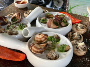 [Obrázek: Víkendová exkurze na šnečí farmu s vařením ze šnečího masa i ochutnávkou (1)